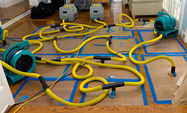 Professional Water Damage Repair technician working in Reston, VA